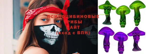крисы Майский