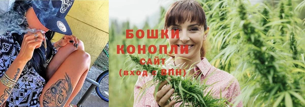 крисы Майский