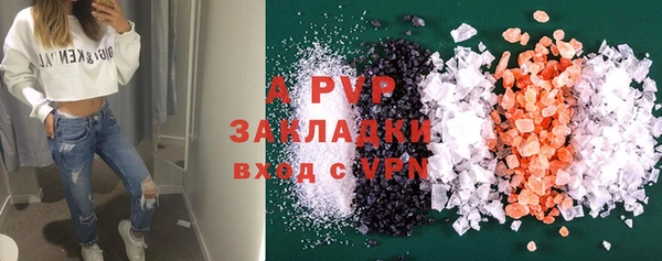 прущие крисы Магас