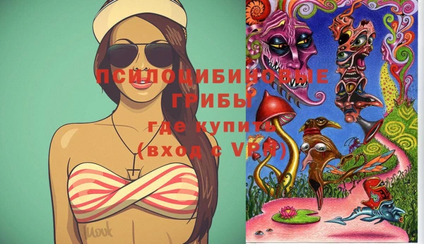 крисы Майский