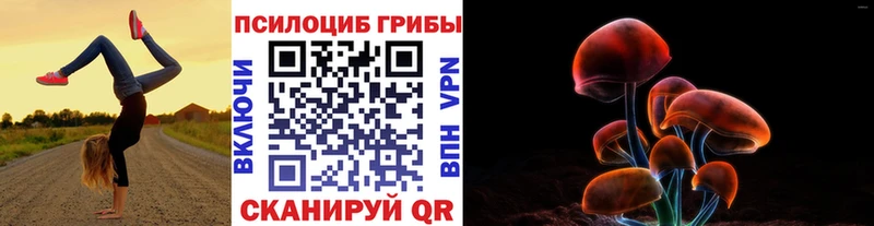 Купить  Уварово  Псилоцибиновые грибы Cubensis 